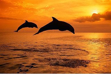 Steam每日特惠：国产轻肉鸽《地牢迷途》新史低