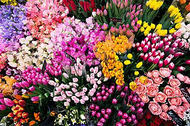 精美冒险《回声世代》10月21日发售 登陆PC和xbox